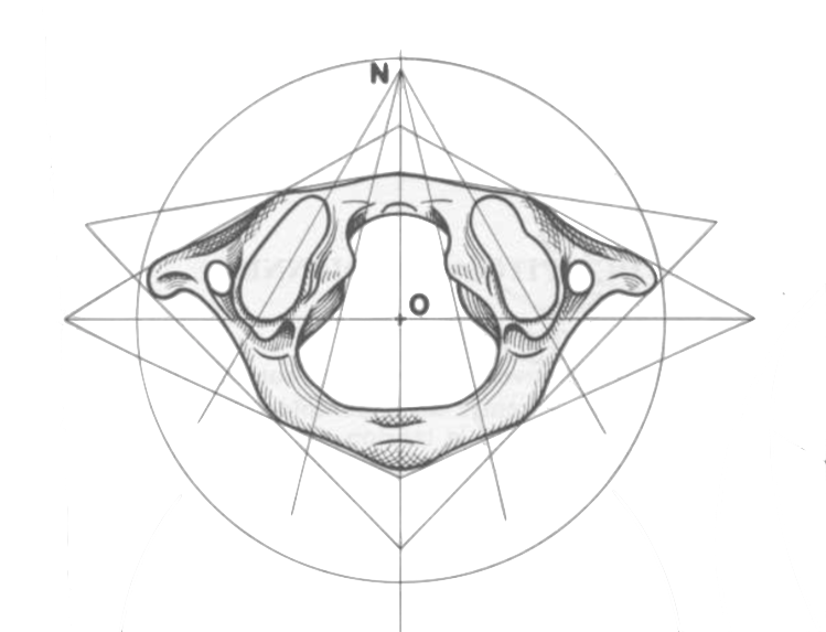 Nowan Bertin ostéopathe D.O.